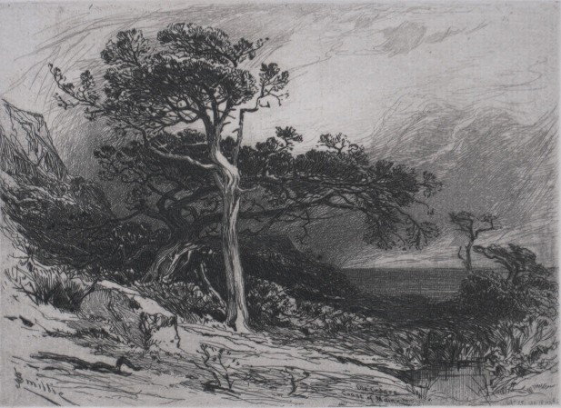James D. Smillie etching: James D. Smillie- ''Old Cedars Maine''- etching, some foxing, staining in margin. 4 7/8 x 6 7/8''
