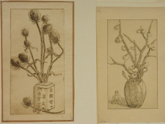 Bertha Jaques 2 drypoints: Bertha Jaques- ''Teasel'' (Jaques 447) and ''Love Apples'' (J. 454)- 2 drypoints on Japanese mulberry paper, 1938, 1939, 'Teasel' is signed in pencil. 14 3/8 x 7 3/8''; 12 3/8 x 7'' Provenance: Estate