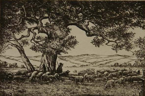 Hans Kleiber etching: Hans Kleiber- ''The Old Cotton Wood Tree''- etching, 1946, signed and titled in pencil, printed o wove paper, AAA edition of 250, very good condition. 7 x 10 3/4''