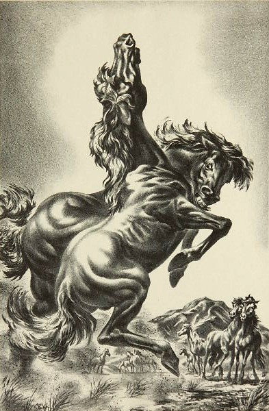 Charles Banks Wilson lithograph: Charles Banks Wilson- ''The Challenger''- lithograph, ca. 1930, signed in pencil, edition of 250 for AAA, very good condition, The image is based on one of the artist's illustrations for J. Frank Dobi