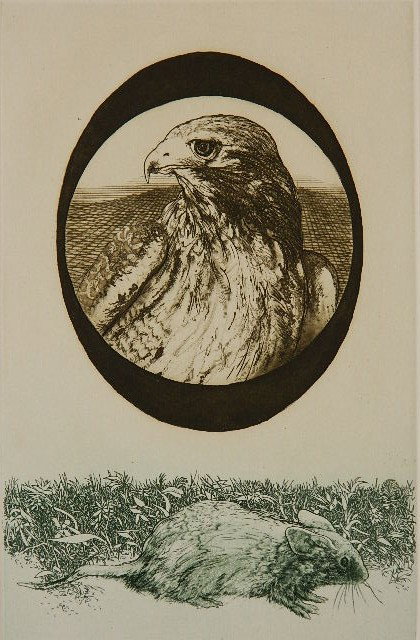 Jack Coughlin etching in colors: Jack Coughlin- ''Hawk and Mouse''- etching and aquatint in colors, 1974, signed, titled and numbered 35/100 in pencil, printed on cream wove paper with full margins, very good condition. 9 7/8 x 6 3/8