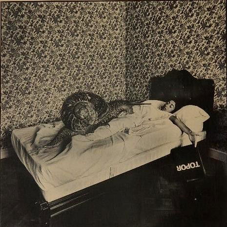 Joan Fontcuberta silver print: Joan Fontcuberta- ''Hommage a R. Toper''- silver print, 1975, signed and numbered 15/25 in pencil, verso, two small surface nicks in image. 10 1/4 x 10 1/4''