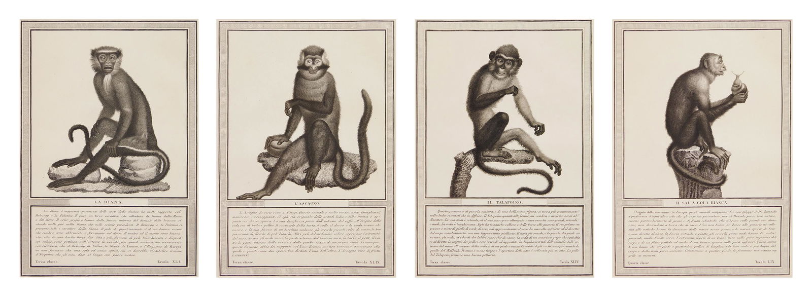 4 Monkey engravings after J. H. Jacob (1 of 11)