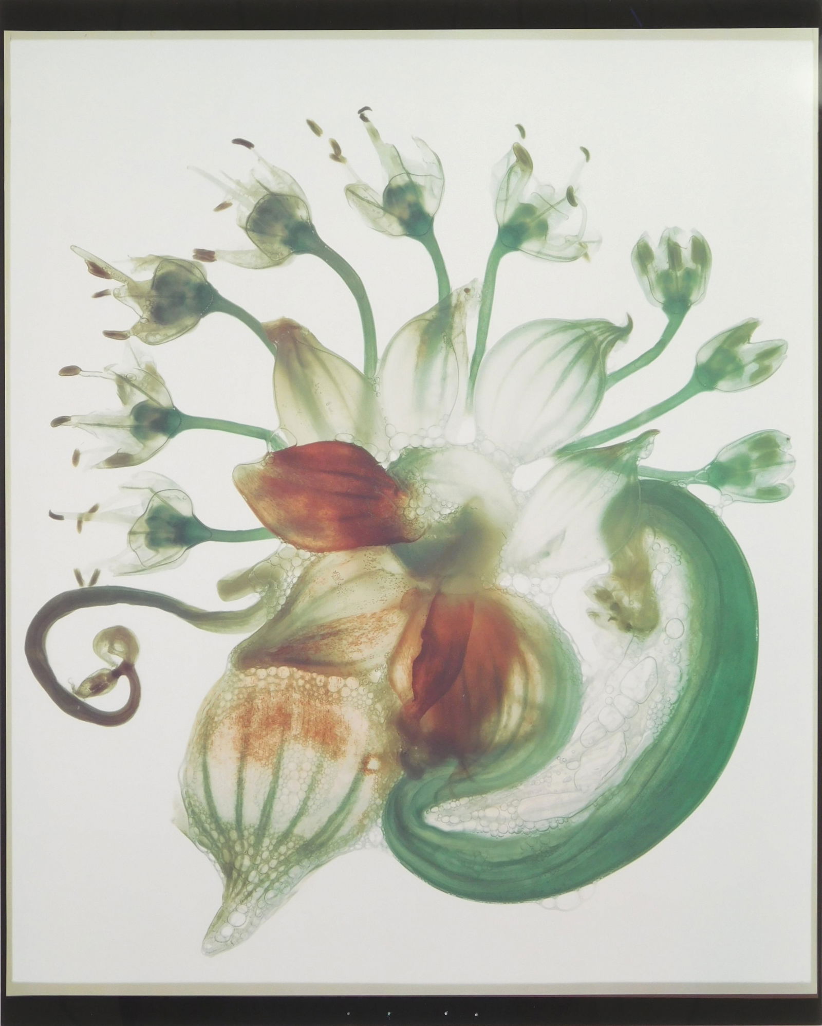 Ann Parker photograph (1 of 4)