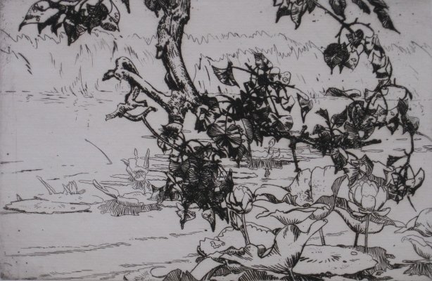 Henry G. Keller etching: Henry G. Keller- Lotus and Pond Lillies- etching, signed in pencil, very good condition. 4 1/2 x 6 1/2''