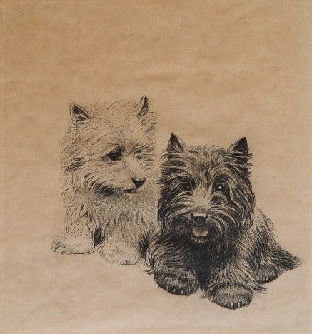 Meta Pluckebaum etching: Meta Pluckebaum- ''Black and White''- etching, signed and titled in pencil, foxing and staining throughout, a few minor scuffs in surface. 10 x 9 3/4''
