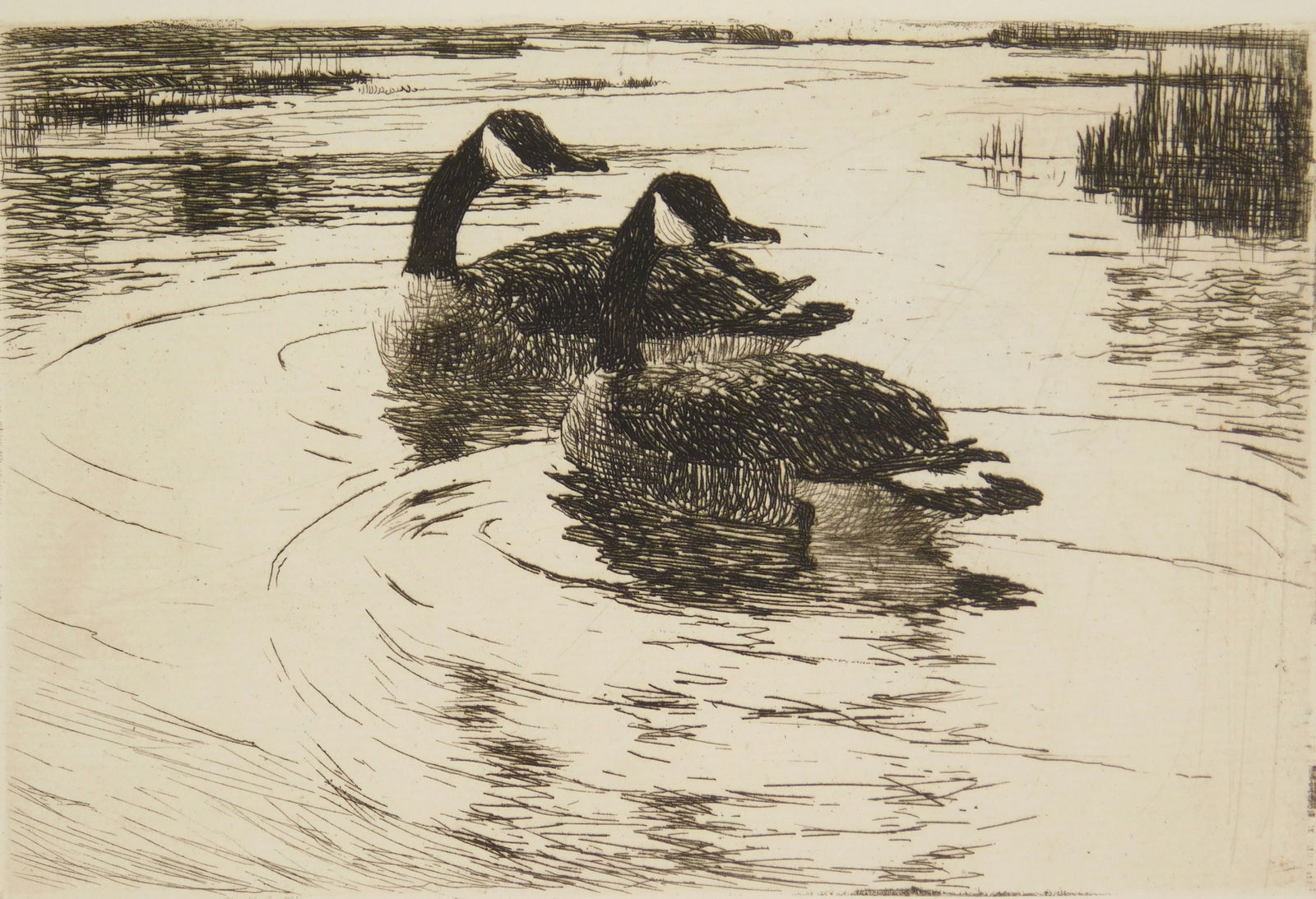 Frank Benson (1862-1951) etching: Canadian Geese (Paff 158) etching, 1919, signed in pencil, edition of 275. as published in Paff's Vol. II of Frank Benson etchings. 4 x 6" Provenance: Private collection
