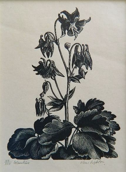 Clare Leighton wood engraving: Clare Leighton (American 1901-1989)- ''Columbine''- wood engraving, signed, titled and numbered xii/xxx in pencil, soft horizontal crease through image. 5 x 3 1/2''