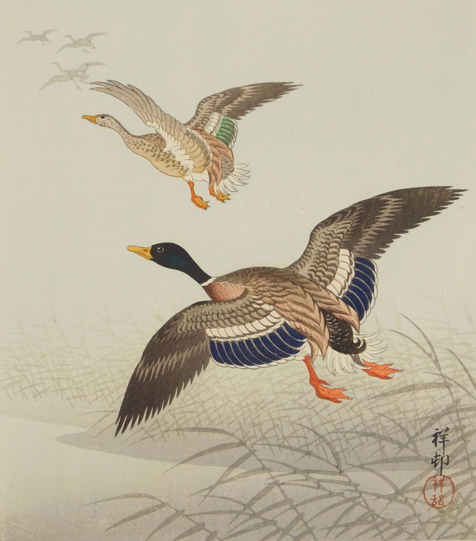 Ohara Koson (Japanese, 1877-1945) woodblock: White-Fronted Geese woodblock in colors, publisher S. Watanabe. 10 5/8 x 9 3/8" Condition: Good condition Provenance: Private collection- Hartford, CT