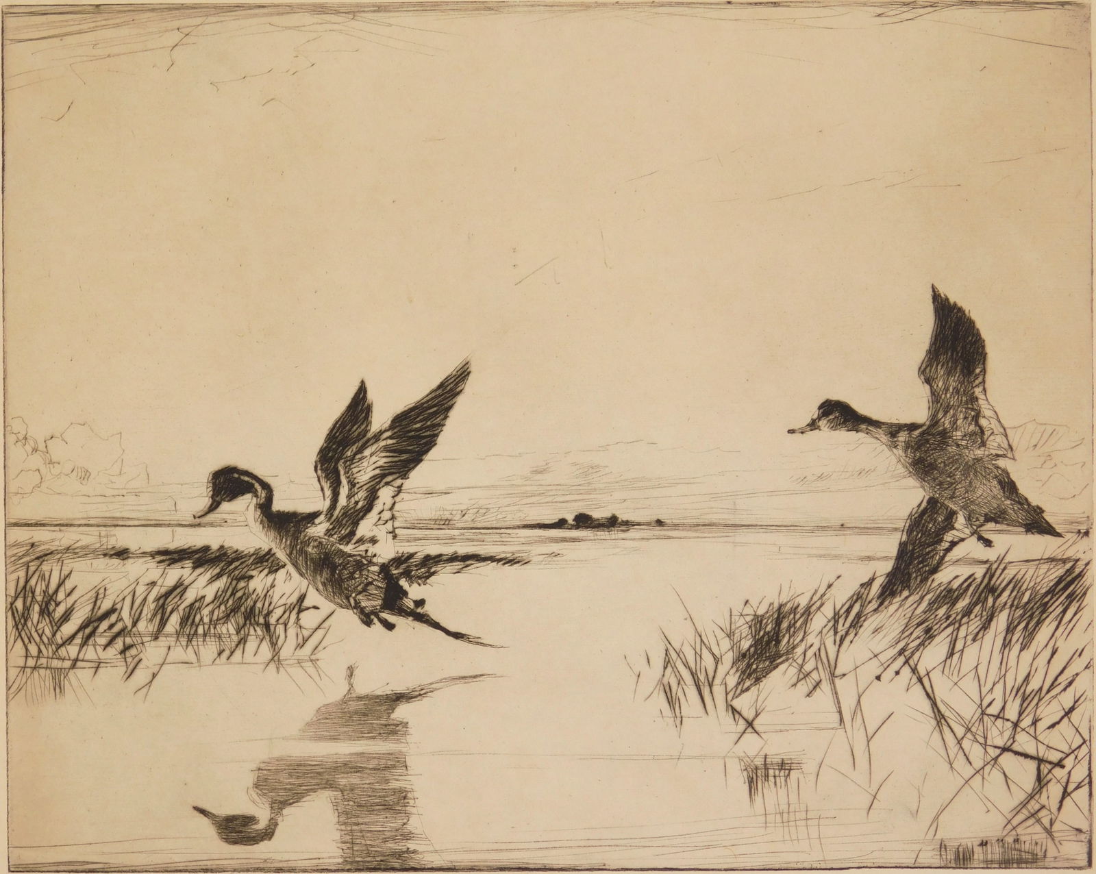 Frank Benson (American, 1862-1951) etching: Pair of Pintails drypoint, 1930, signed in pencil, edition of 150. 8 x 10'' &n