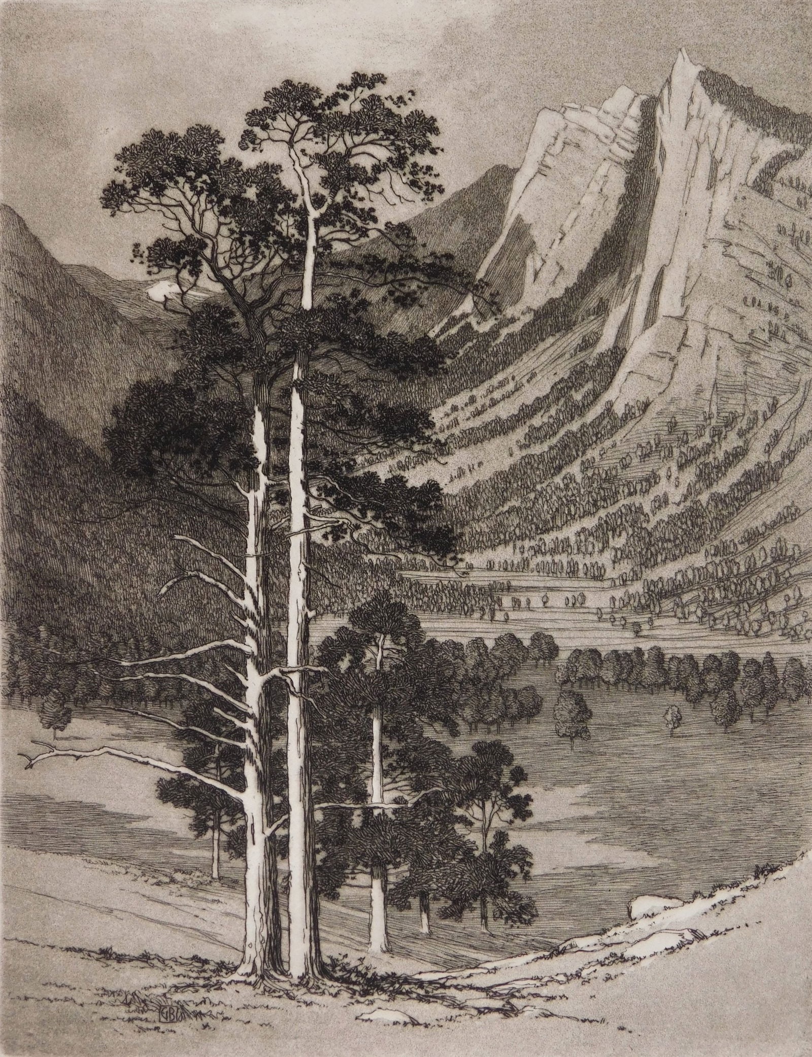 George Elbert Burr (American, 1859-1939) etching: Black Canyon- Estes Park- Colo. etching, signed and titled in pencil. 8 1/2 x 6 1/2" Seeber 175 Provenance: Private collection- Cumberland Foreside, ME