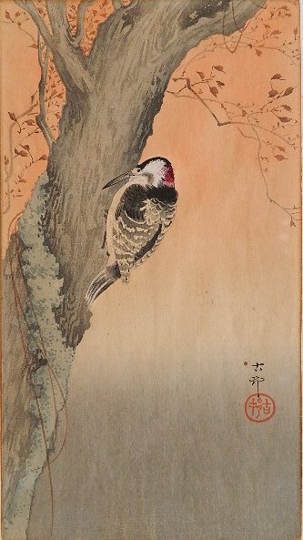 Koson Ohara woodblock: Koson Ohara- Nuthatch- woodblock in colors, with artist's chop, mat burn verso. 13 1/2 x 7 1/2''
