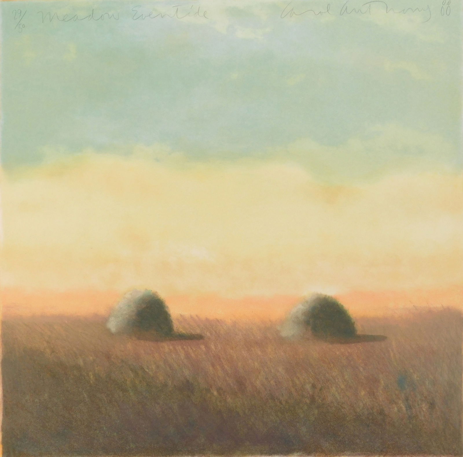 Carol Anthony (American, 1943- ) monoprint: Meadow Enventide monoprint in color, 1988, signed, dated, titled and numbered 29/50 in pencil. 20 3/8 x 20 3/8" Provenance: Private collection- Dublin, OH
