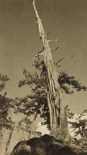 William E. Dassonville (American, 1879-1957) photograph: High Sierras, CA silver gelatin photographs on textured paper, estate stamped verso 10 1/4 x 5 3/4" (image) Provenance: Non-profit organization- Akron, OH
