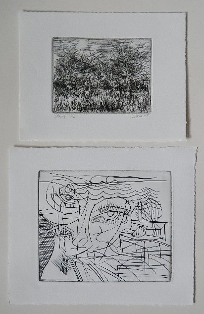 Jonathan Clemens etchings: Jonathan Clemens- ''Spring'' (11)- 11 etchings, 2005, all signed and dated in pencil, 5 inscribed 'A/P', 6 titled and numbered in pencil; together with 12 unsigned etchings of abstract style face and 