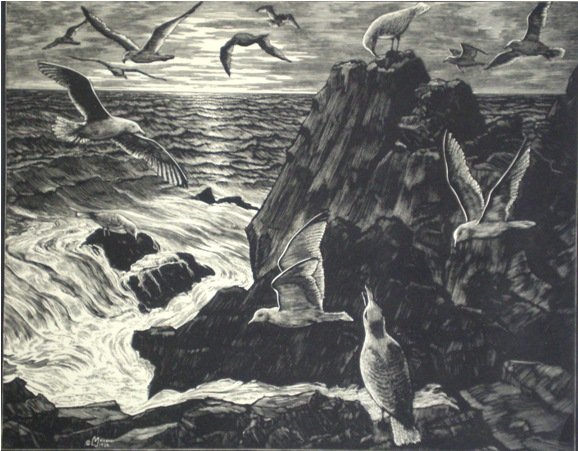 Leo Meissner wood engraving: Leo Meissner- ''Sea Gulls''- wood engraving, 1936, edition of about 200, published by AAG. 8 x 10''