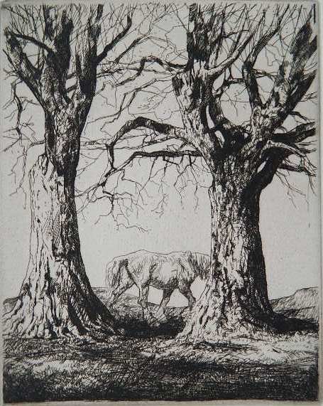 John Nicolson etching: John Nicolson- ''Winter Sunshine''- etching, 1927, signed, titled and numbered in pencil. Edition 50, #3. Illustrated: ''Fine Prints of the Year, 1930''. A very fine impression with plate tone. Printe