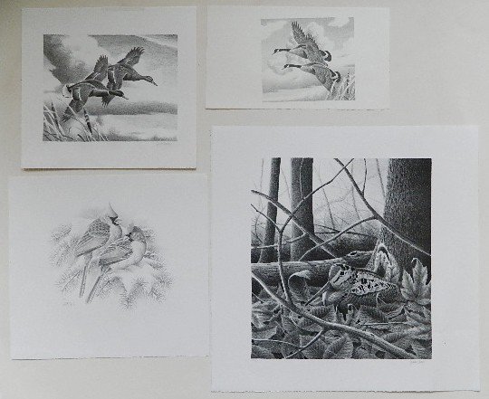 John F. Zald 25 lithographs: John F. Zald- Bird and Leaves (20); Two Birds on Snowy Branch; Birds in Flight- 25 lithographs, mostly signed in pencil, a few numbered in pencil, 1 with staining and surface dents in image, otherwise