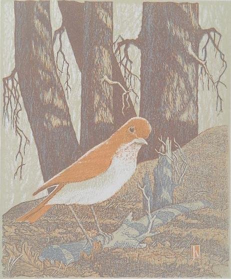James D. Havens woodcut: James D. Havens (American 1900-1960)- ''Shy Veery''- woodcut in colors, 1949, signed and dated in pencil, edition of 200, published by the Woodcut Society. 9 1/2 x 8''