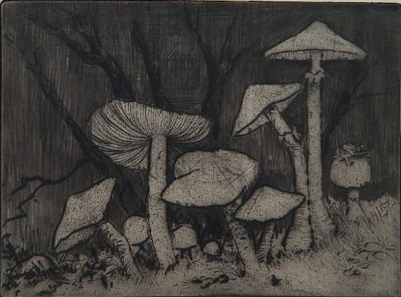 Bertha Clasen Jacques drypoint: Bertha Clasen Jacques (American 1863-1941)- ''Woodsfolk... Mushrooms'' (Jacques 448)- drypoint, 1938, signed and titled in pencil, a very rich impression with plate tone on cream Rives watermarked pap