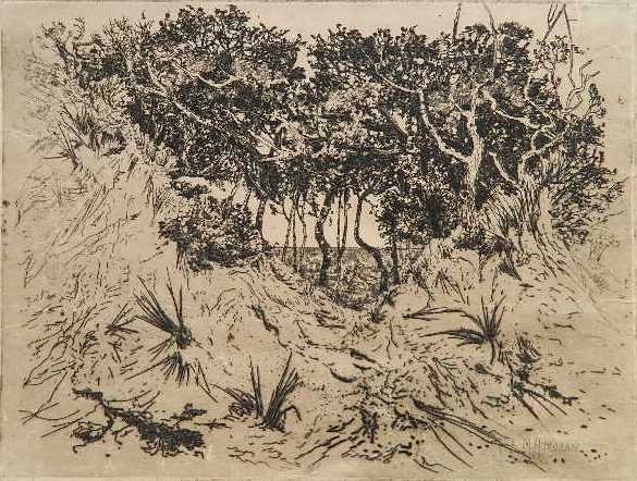Mary Nimmo Moran etching: Mary Nimmo Moran (American 1842-1899)- ''Scrub Oaks, Long Island'' (Klackner 22)(Gilcrease last 1426.81)- etching, 1881, signed in pencil, repaired tear lower right in image, handling creases, minor s
