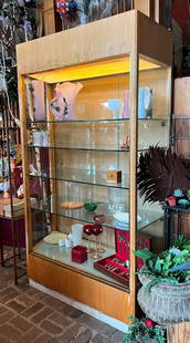 Commercial display case: Commercial display case