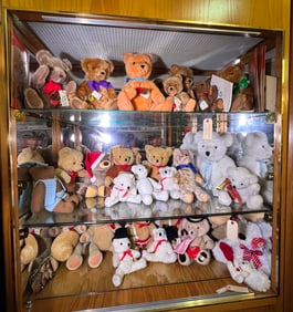 25 Teddy bears