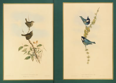 2 Gould & Richter lithographs
