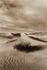 Roger Benedetti (American, 1948s- ) photograph