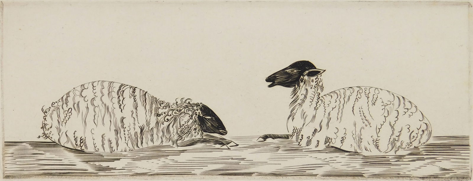 Joseph Hecht (Poland 1891 - 1951) etching: Two Sheep etchings, signed and numbered 9-35 in pencil. 3 1/4 x 8 3/8" Provenance: Private collection- Westlake, OH *** PLEASE READ: IMPORTANT NOTE About S&H ***S&H of this