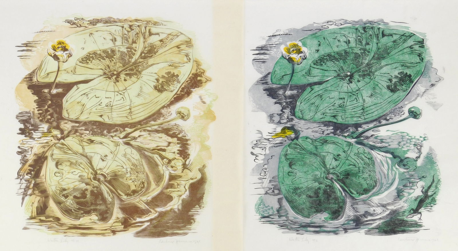 2 Gertrude Hermes (British, 1901-1983) wood engravings: Water Lily 2 woodcuts in colors, 1947, 1948, 1st and 2nd editions, both signed, dated, titled and numbered No. 8 & No. 10 in pencil. 11 1/2 x 10 1/4" Provenance: Privat