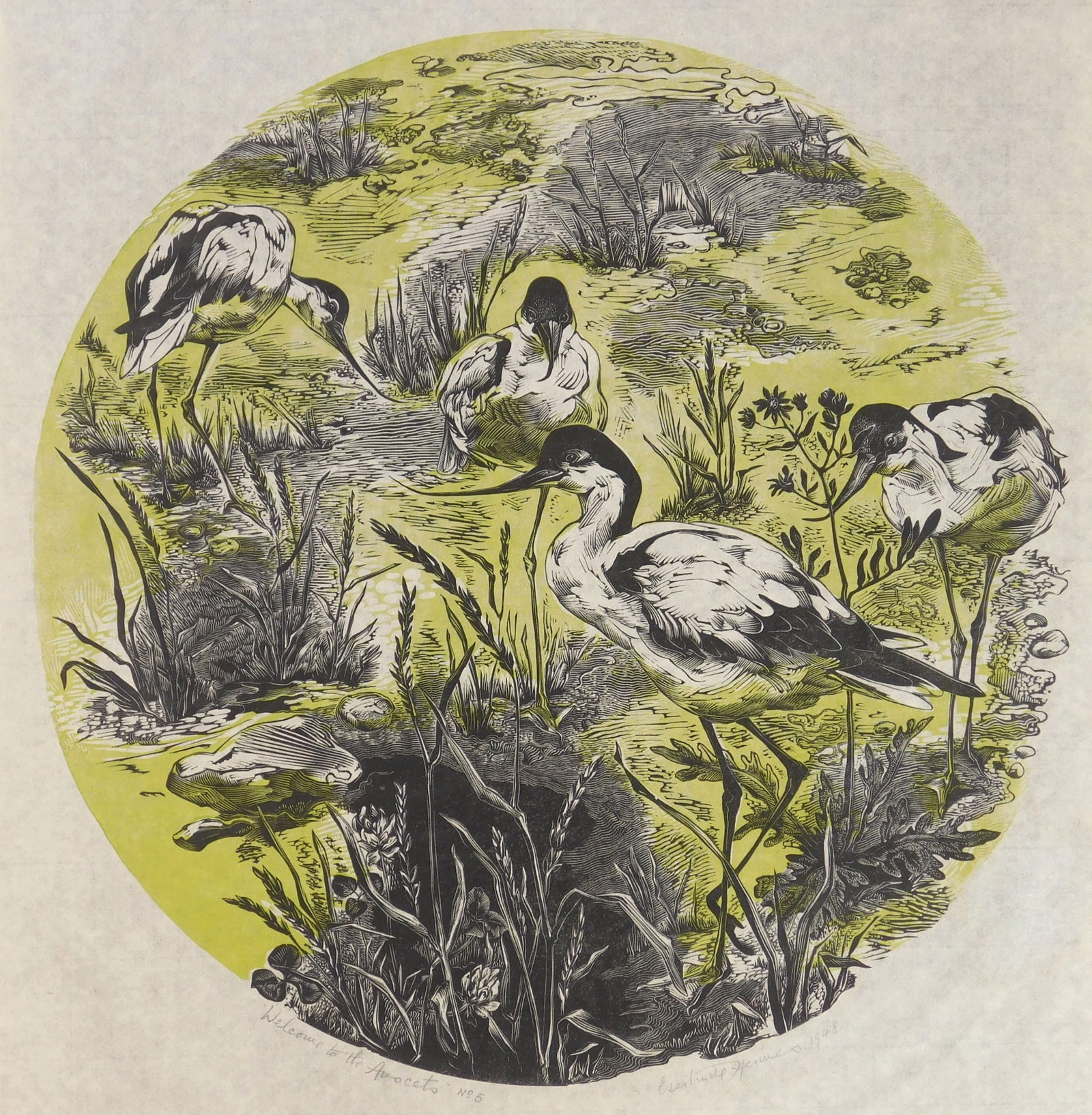 Gertrude Hermes (British, 1901-1983) wood engraving: Welcome to the Avocets woodcut in color, 1948, signed, dated, titled and annotated No. 5 in pencil. 13 5/8 x 13 3/8" (o) Provenance: Private collection- Cleveland Heights, OH