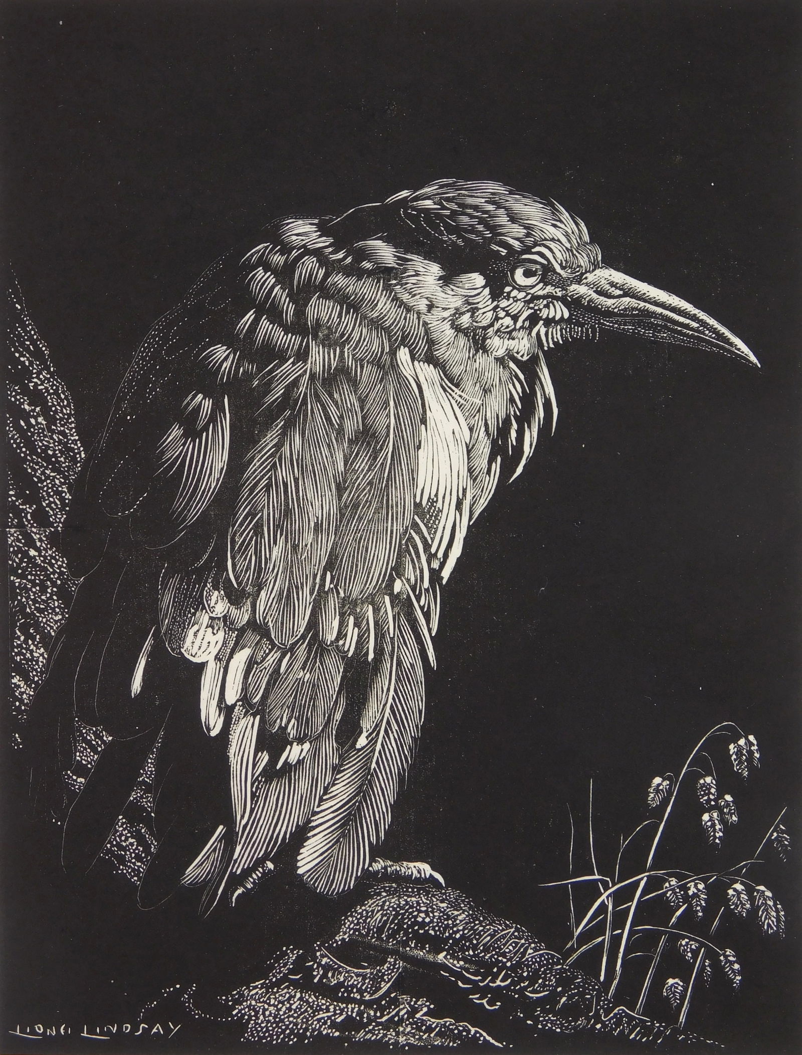 Lionel Lindsay (Australian, 1874-1961) wood engraving: The Clipped Wing wood engraving, signed, titled and numbered 100 in pencil. 5 5/8 x 4 3/8" Provenance: Private collection- Cleveland Heights, OH *** PLEASE READ: IM