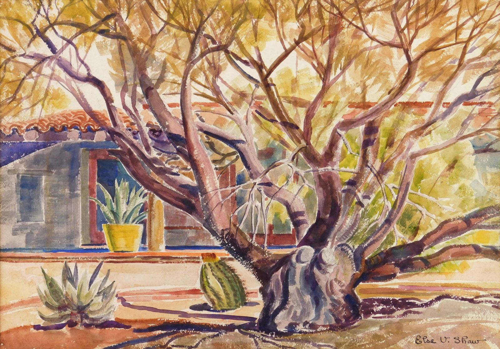 Elsa V. Shaw (American, 1891-1974) watercolor: Palo Verde Tree watercolor on paper, signed Elsa V. Shaw lower right, signed and titled verso. 15 x 21 1/2" Provenance: Private collection- Strongsville, OH *** PLEASE READ: IMPO