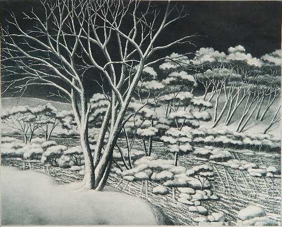 Samuel L. Margolies aquatint: Samuel L. Margolies- ''Maiden Hair, Pequest''- aquatint, signed and titled in pencil, slightly light struck. 9 3/4 x 12''