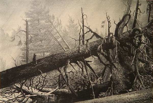 Stow Wengenroth lithograph: Stow Wengenroth- ''Hurricane'' (Stuckey 229)- lithograph, 1955, signed and annotated 'printer's proof' in pencil. 11 3/4 x 17 1/4''