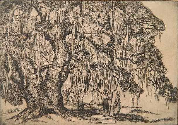 Elizabeth White etching: Elizabeth White- ''Noon Shade, South Carolina Coast, Near Charleston''- etching, signed and titled in pencil, light struck, minor foxing. 6 x 8 1/2''