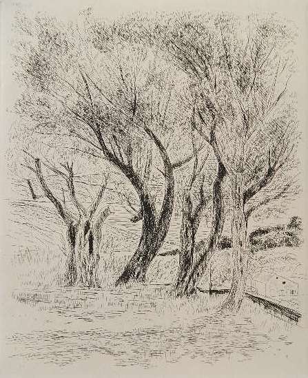Andre Dunoyer de Segonzac etching: Andre Dunoyer de Segonzac- Les Vieux Oliviers- etching, c. 1936, from Les Georgiques. 11 1/4 x 9 1/4''