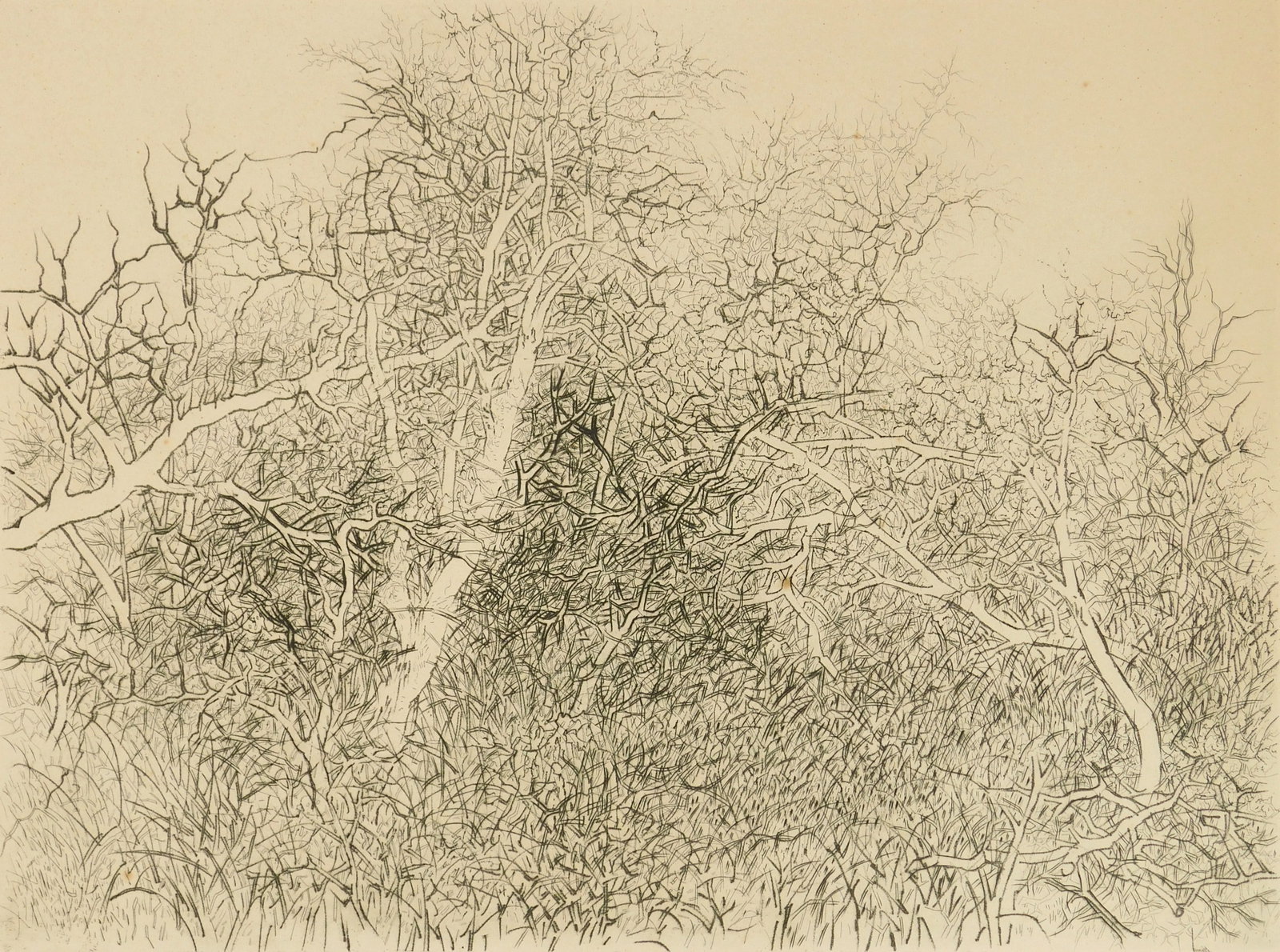 Gabor Peterdi (American, 1915-2001) etching (1 of 6)