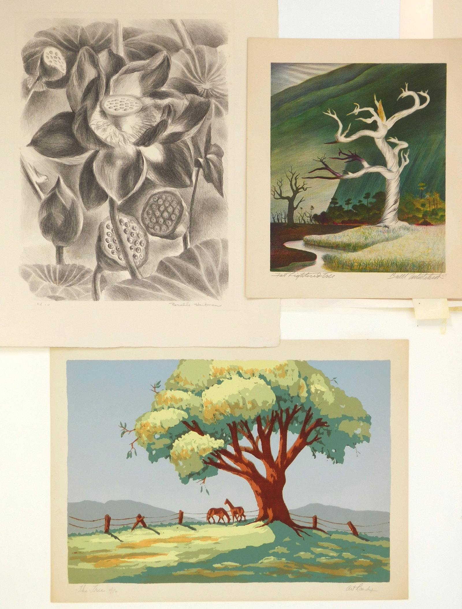 3 American prints: Rosella Hartman- Egyptian Lotus- lithograph; Art Landy- The Tree- silkscreen in colors; Buell Whitehead- Far Lightened Tree- lithograph in color. A