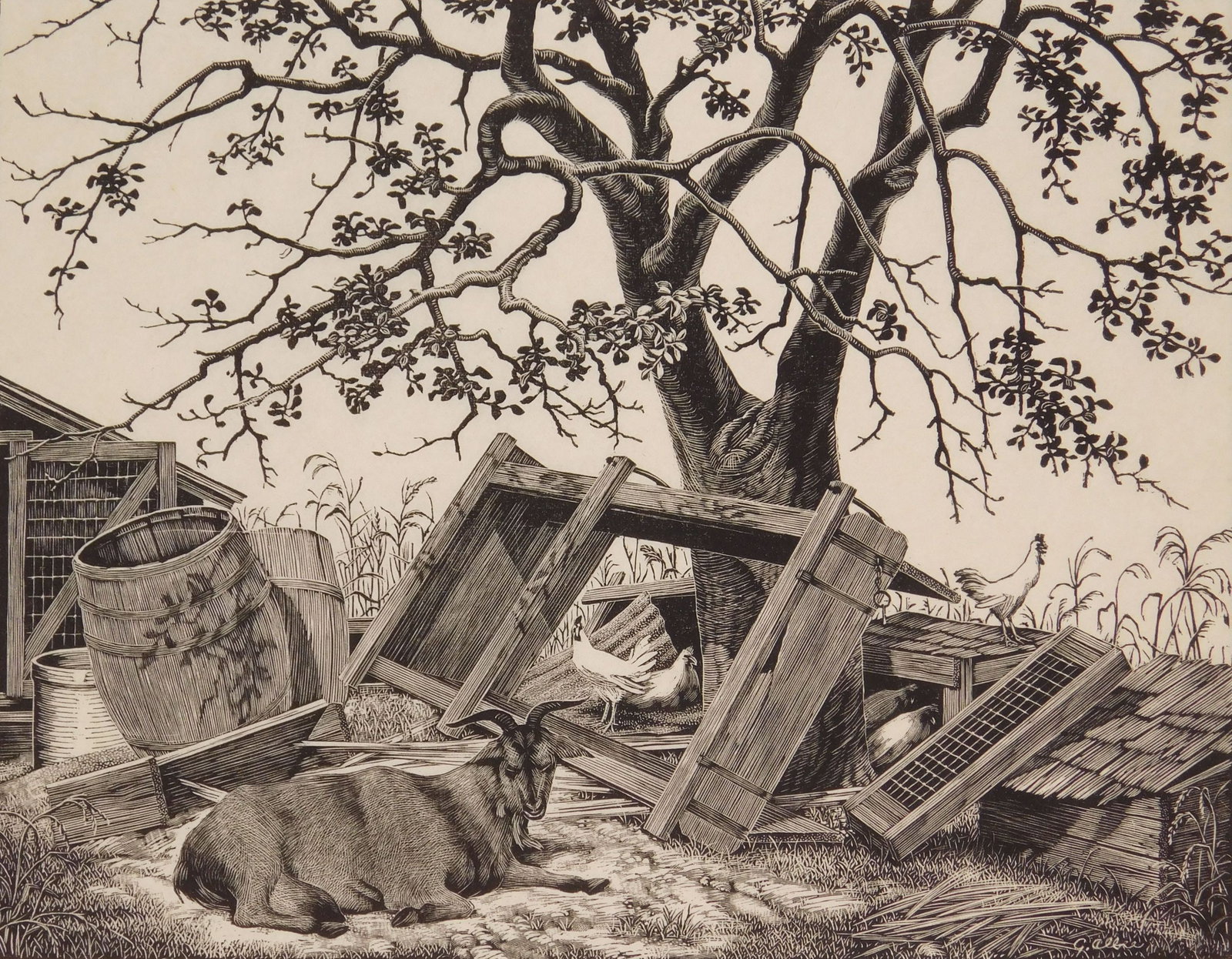 Grace Albee (American, 1890-1985) wood engraving: Peaceful Afternoon wood engraving, signed, titled and annotated 'Ed. 300' in pencil. 5 5/8 x 7 1/4'' Provenance: Private collection- Cleveland, OH *** PLEASE READ: IMPORTANT NOTE About