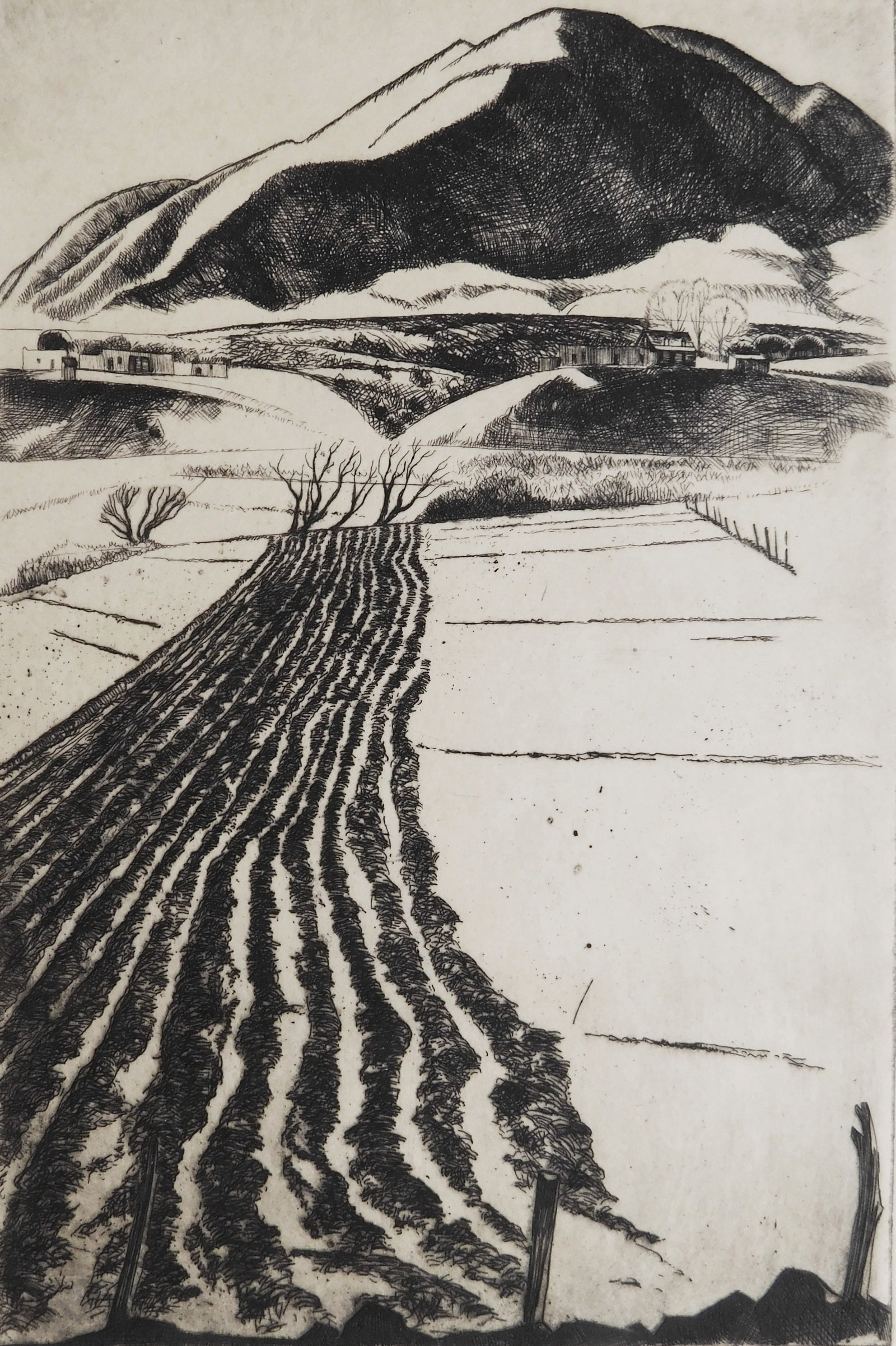 Howard Cook (American, 1901-1980) etching: Talpa Furrows etching, 1927, signed in pencil and annotated 50 in pencil, edition of 50 (30 were printed). 8 7/8 x 5 7/8" Literature: Duffy 28 Provenance: Private collection- New 