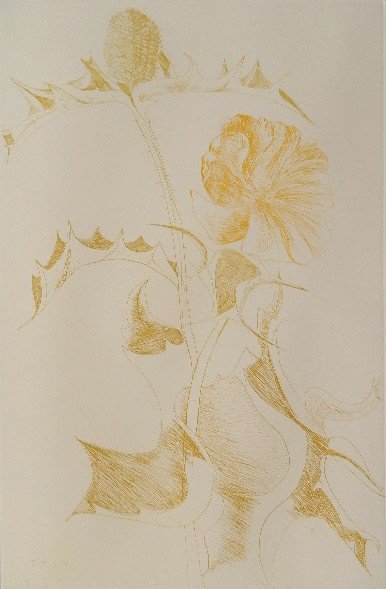 Leonard Baskin etching: Leonard Baskin- ''Thistle and Blue Flower'' (Fern and O'Sullivan 581)- etching in colors, 1970, signed in pencil, slightly light struck and mat burn. 18 x 11 3/4''