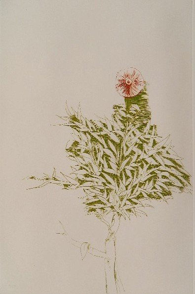 Leonard Baskin etching: Leonard Baskin- ''Red Flower'' (Fern and O'Sullivan 583)- etching in colors, 1970, signed in pencil. 17 1/2 x 11 1/2''