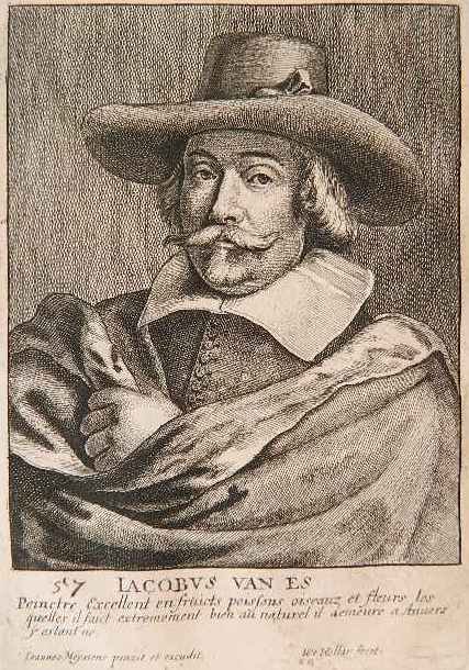 Wenzel Hollar etching: Wenzel Hollar- ''Portrait of the Painter, Jacob Van Es''- etching, after a painting by Jan Meyssens, stains and some foxing and toning around edges. 6 1/2 x 4 1/2''