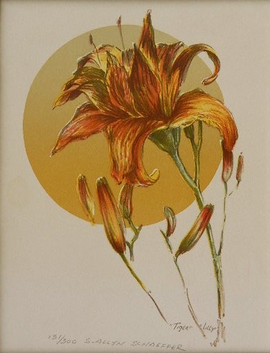 Allyn Schaeffer lithograph: Allyn Schaeffer- ''Tiger Lily''- lithograph in colors, signed, titled and numbered 13/300 in pencil, some minor staining, few small tears (1 repaired) along edges, previously rolled, taped to top mat 