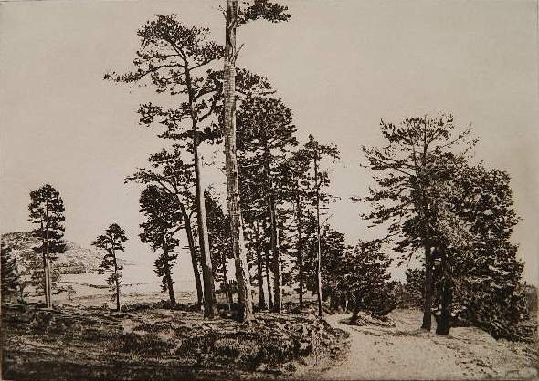 A. Watson Turnbull etching: A. Watson Turnbull- Seaside- etching, signed and titled in pencil, good condition. 8 1/2 x 12 1/8''