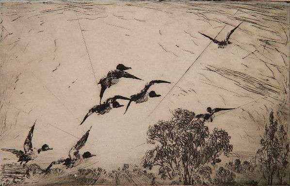 Frank Benson etching: Frank W. Benson (American 1862-1951)- ''Over The Tree Tops'' (Paff 84)- etching, 1915, signed and numbered 39 in pencil, edition of 54, toning, staining and foxing in margins and verso, tear in right