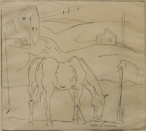 William Sommer etching: William Sommer (American 1867-1949)- Horse- etching, light struck. 7 x 8'' Provenance: John Paul Miller Collection, Cleveland, Ohio.