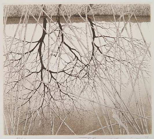 Ryohei Tanaka etching: Ryohei Tanaka- Reflection in Lake- etching, 1977, signed, dated and numbered 97/100 in pencil. 8 1/4 x 9 1/4''